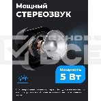 Портативная колонка Ritmix SP-3010 черный, фото11