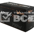 Блок питания Aerocool/Formula ATX 750W APMM-750BM 80 PLUS bronze (20+4pin) APFC 140мм fan 6xSATA Cab Manag RTL, фото2