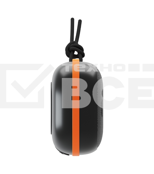 Портативная колонка Soundmax SM-PS5009B черный