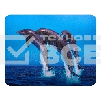 Коврик для мыши Buro BU-M40083 пластиковый дельфины 230х180х2мм, фото 1