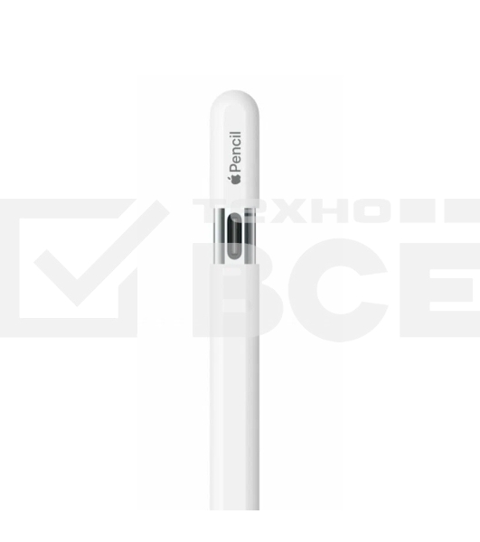 Перо-карандаш Apple Pencil (USB-C)