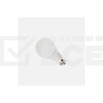 Лампа светодиодная Bellight 85637131 LED A60 Е27 12W 12-48 вольт 4000К, фото2