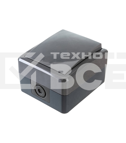 Выключатель 11-1401-03 IP54, 10АХ-250В, ОУ, Эксперт, серый (16/160/2560) Б0020670 ЭРА