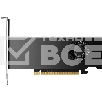 Видеокарта PNY NVIDIA 2000 Ada 16GB LowProfile OEM Version, фото 1