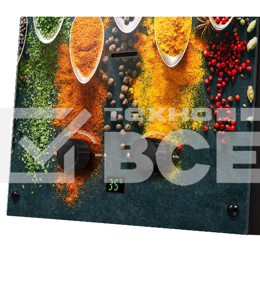 Колонка газовая Ballu GWH 10 Fiery Glass Curry