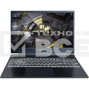 Ноутбук HASEE S8 C62654FH i7-12650H 16Gb SSD 512Gb NVIDIA RTX 4050 для ноутбуков 6Gb 15,6 FHD IPS Cam 63Вт*ч No OS Черный S8 C62654FH