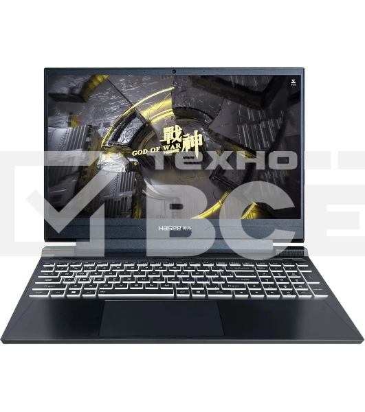 Ноутбук HASEE S8 C62654FH i7-12650H 16Gb SSD 512Gb NVIDIA RTX 4050 для ноутбуков 6Gb 15,6 FHD IPS Cam 63Вт*ч No OS Черный S8 C62654FH