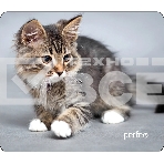 Коврик для мыши PERFEO PF_D0661 'Cat', фото 1