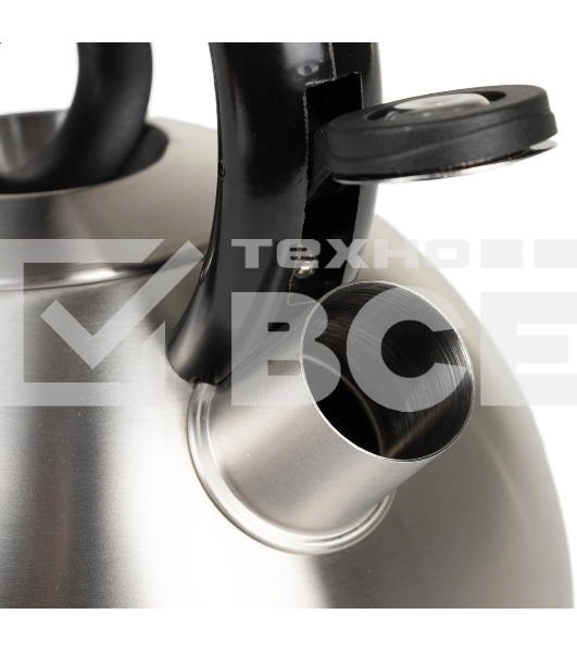 Чайник металлический Rondell 0237-RD-01, 2.4 л, стальной