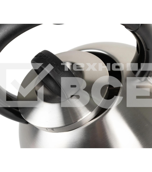 Чайник металлический Rondell 0237-RD-01, 2.4 л, стальной