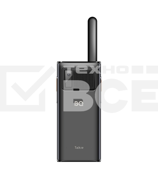 Мобильный телефон BQ 2010 Talkie черный