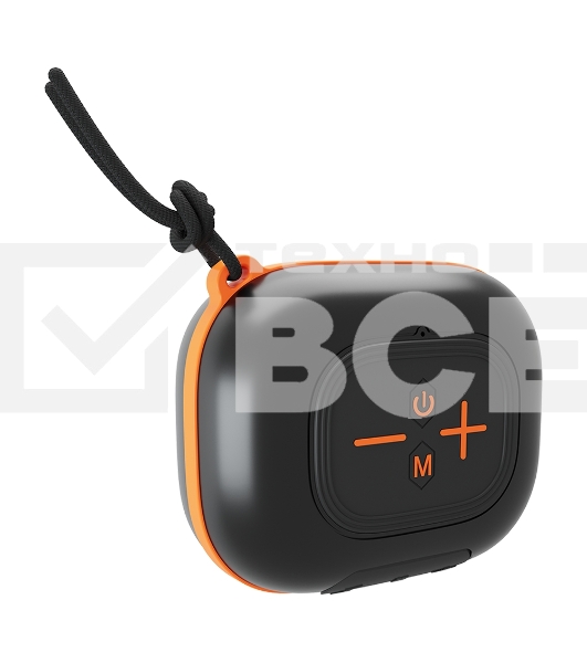 Портативная колонка Soundmax SM-PS5009B черный