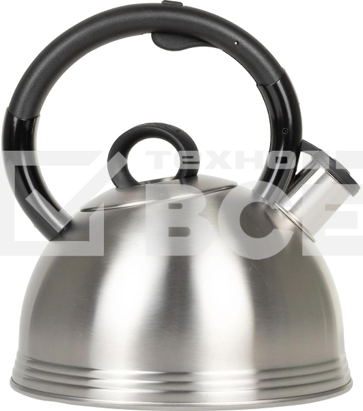 Чайник металлический Rondell 0237-RD-01, 2.4 л, стальной