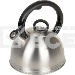 Чайник металлический Rondell 0237-RD-01, 2.4 л, стальной, фото 1