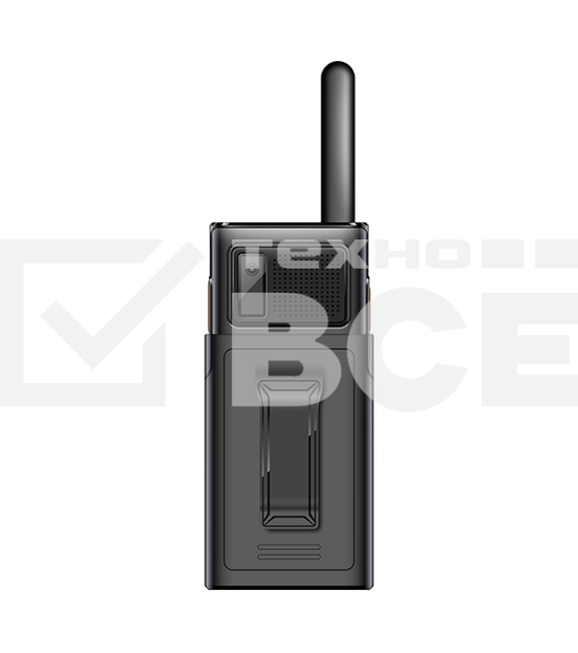 Мобильный телефон BQ 2010 Talkie черный