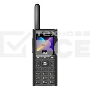 Мобильный телефон BQ 2010 Talkie черный