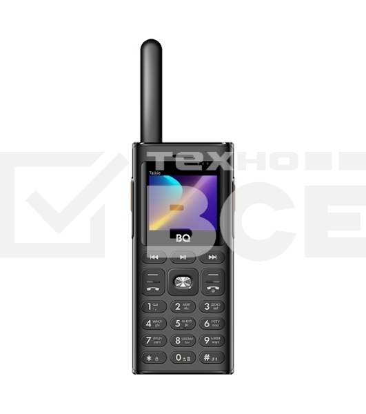 Мобильный телефон BQ 2010 Talkie черный