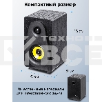 Портативная колонка Ritmix SP-3040W, фото8