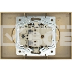 Розетка LEZARD 704-3600-128BQC 2-мест. б/з СП ZIMA IP20 16А ПБТ безвинт. зажим зол., фото3