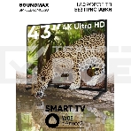 Телевизор Soundmax 43