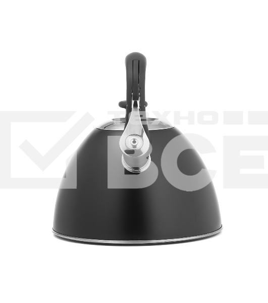 Чайник для плиты Lara LR00-74 3 л, нержавеющая сталь, черный матовый