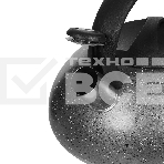 Чайник для плиты ALPENKOK AK-537 3 л, фото3