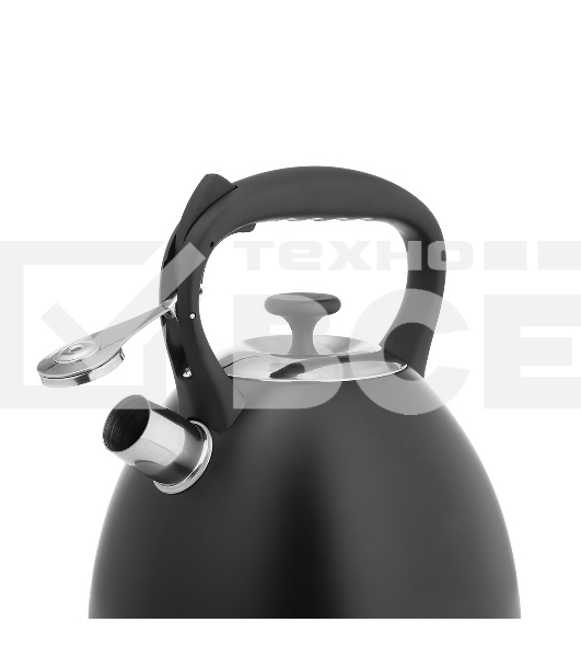 Чайник для плиты Lara LR00-74 3 л, нержавеющая сталь, черный матовый