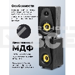 Портативная колонка Ritmix SP-3040W, фото13