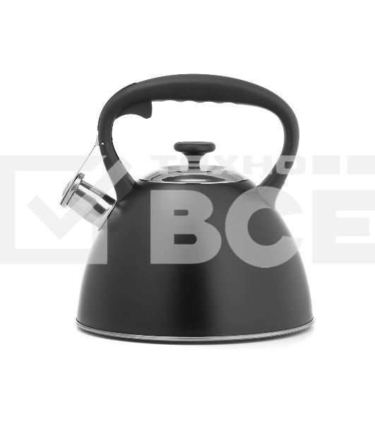 Чайник для плиты Lara LR00-74 3 л, нержавеющая сталь, черный матовый