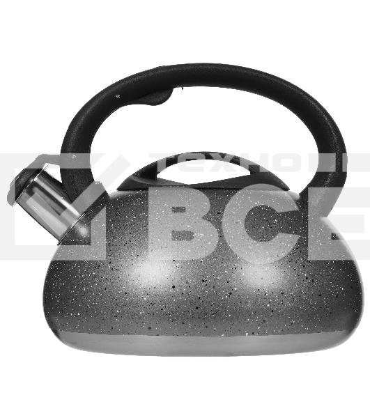 Чайник для плиты ALPENKOK AK-537 3 л