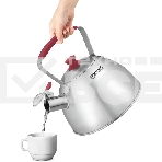 Чайник металлический Rondell Savvy RDS-1826 2.5л. стальной, фото3