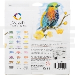 Карандаши цветные Deli EC00220 Color Emotion, трехгранный профиль, липа, 24 цвета, коробка с европодвесом (24шт), фото5