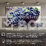 Телевизор Harper 65Q770TS 4K UHD SMART TV, фото13