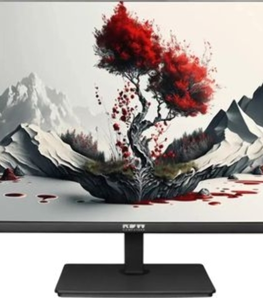 Монитор 23.8' RDW Computers RDW2401K IPS 1920x1080, 120 Гц, 5 мс, 16:9, 300 кд/м², VGA, HDMI 1.4, DP 1.2, 3.5 Jack, динамики (2×2 Вт), черный, в реестре Минпромторга