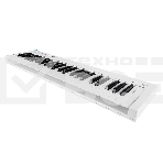 Клавиатура MIDI [AX-1973W] Axelvox [KEY49j White] 4-октавная (49 клавиш) динамическая USB, 3 кнопки, джойстик (Pitch Bend и Modulation), 1 программируемый фейдер, вход Sustain педали, выключатель питания, питание от USB. Цвет белый., фото11