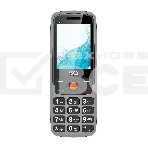 Мобильный телефон BQ 2459 Care серый, фото 1