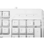 Клавиатура Acer OKW301 (ZL.KBDCC.01B) проводная, USB, белый, фото3