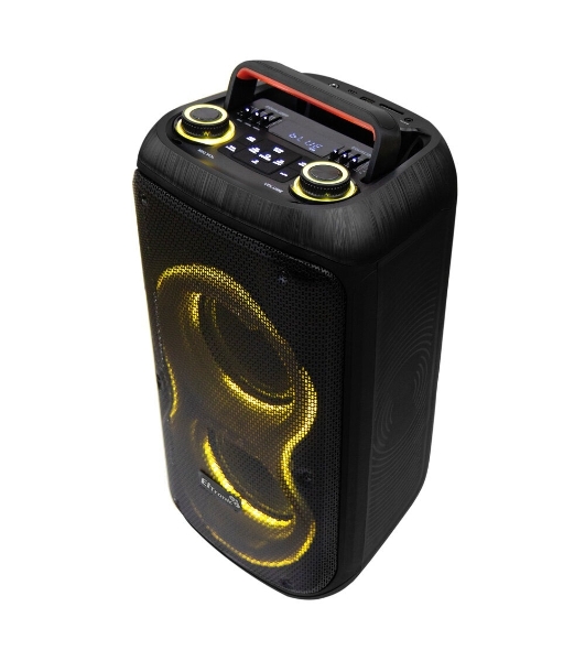 Колонка 06' (20-91 DANCE BOX 600) динамик 2шт/6.5' ELTRONIC с TWS
