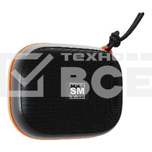 Портативная колонка Soundmax SM-PS5009B черный