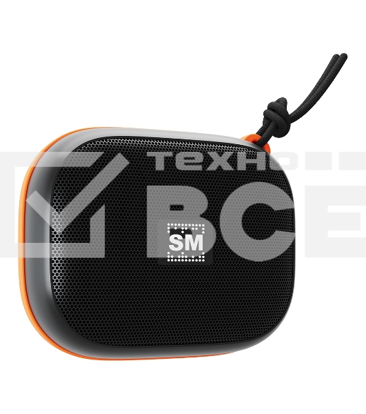 Портативная колонка Soundmax SM-PS5009B черный