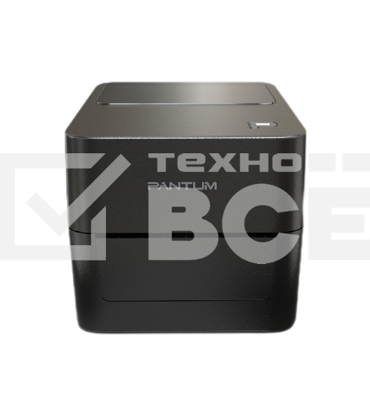 Принтер наклеек Pantum DT PT-D160 прямая термопечать, 203 dpi, 152 мм/сек, USB, чёрный