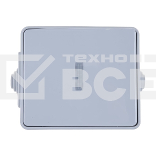 Выключатель с подсветкой IP65, 10АХ-250В, 11-1602-03, ОУ, Эра Эксперт, серый Б0035974 ЭРА