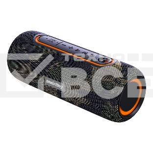 Портативная акустика Smartbuy (SBS-5300) HERO, камо