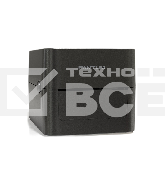 Принтер наклеек Pantum DT PT-D160 прямая термопечать, 203 dpi, 152 мм/сек, USB, чёрный