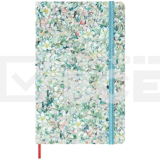 Блокнот Moleskine LIMITED EDITION VAN GOGH MUSEUM SKARTQP063VANGOGH Large 130х210мм, 104 страниц, нелинованный, твердая обложка, светло-зеленый