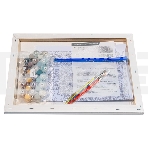 Картина по номерам БЕЛОСНЕЖКА 1100-AS Розовая пантера красит черную, фото3