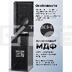 Портативная колонка Ritmix SP-3035W, фото13