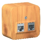 Розетка 2-ая компьютерная RJ45 SE кат.5E, изолир. пластина Blanca наруж Ясень, фото 1
