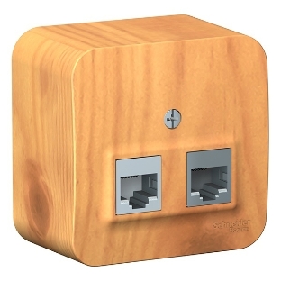 Розетка 2-ая компьютерная RJ45 SE кат.5E, изолир. пластина Blanca наруж Ясень