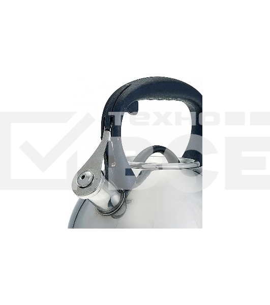 Чайник для плиты ALPENKOK AK-516 нерж.сталь со свистком 3,0л (12)